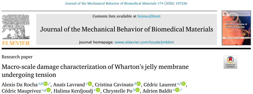 Journal of the mechanical Behavior of Biomedical Materials
